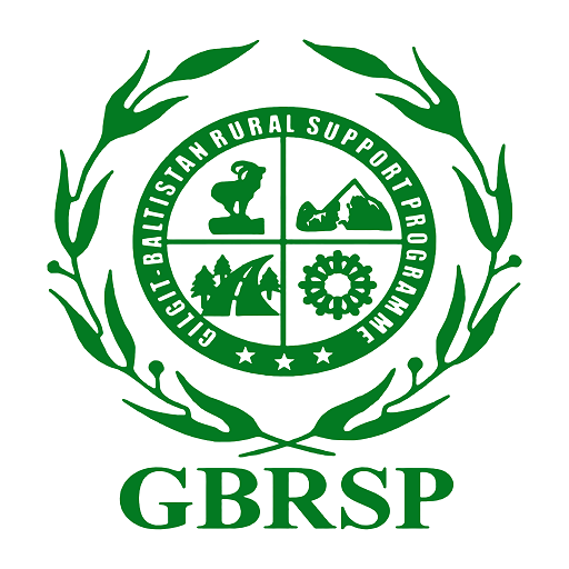 Chief Executive Officer Position at GBRSP